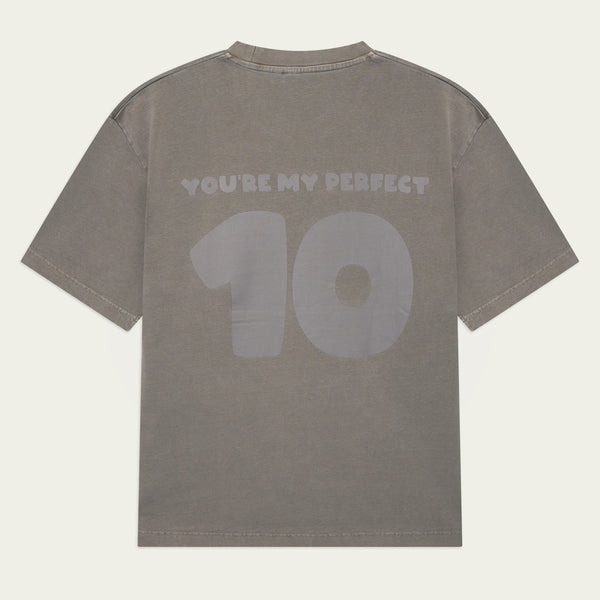 Perfect 10 T-shirt Gray (nieuwe stof & fit)