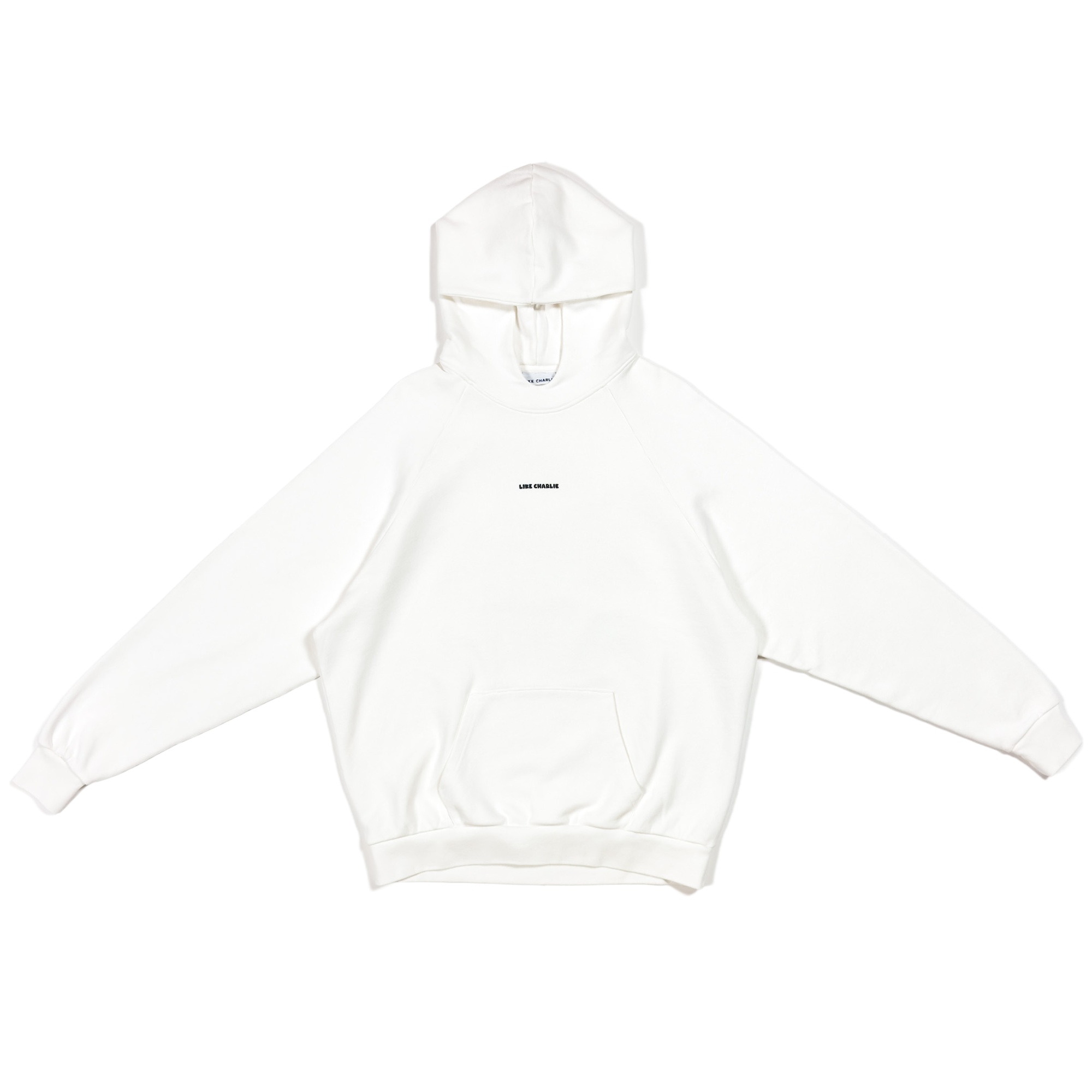 Absence of Perspective Hoodie